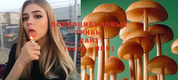 мескалин Заволжье