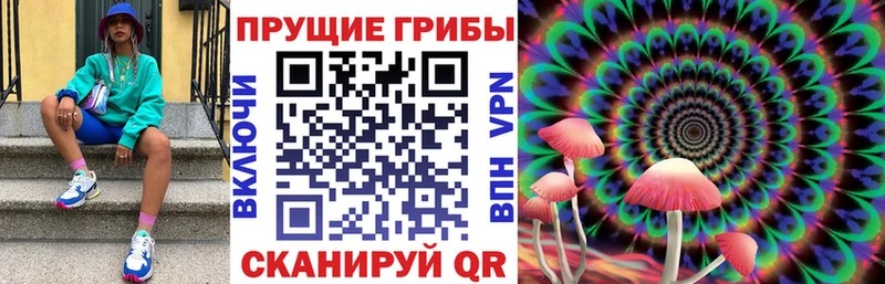 omg ссылка  Южно-Сахалинск  Галлюциногенные грибы мицелий 